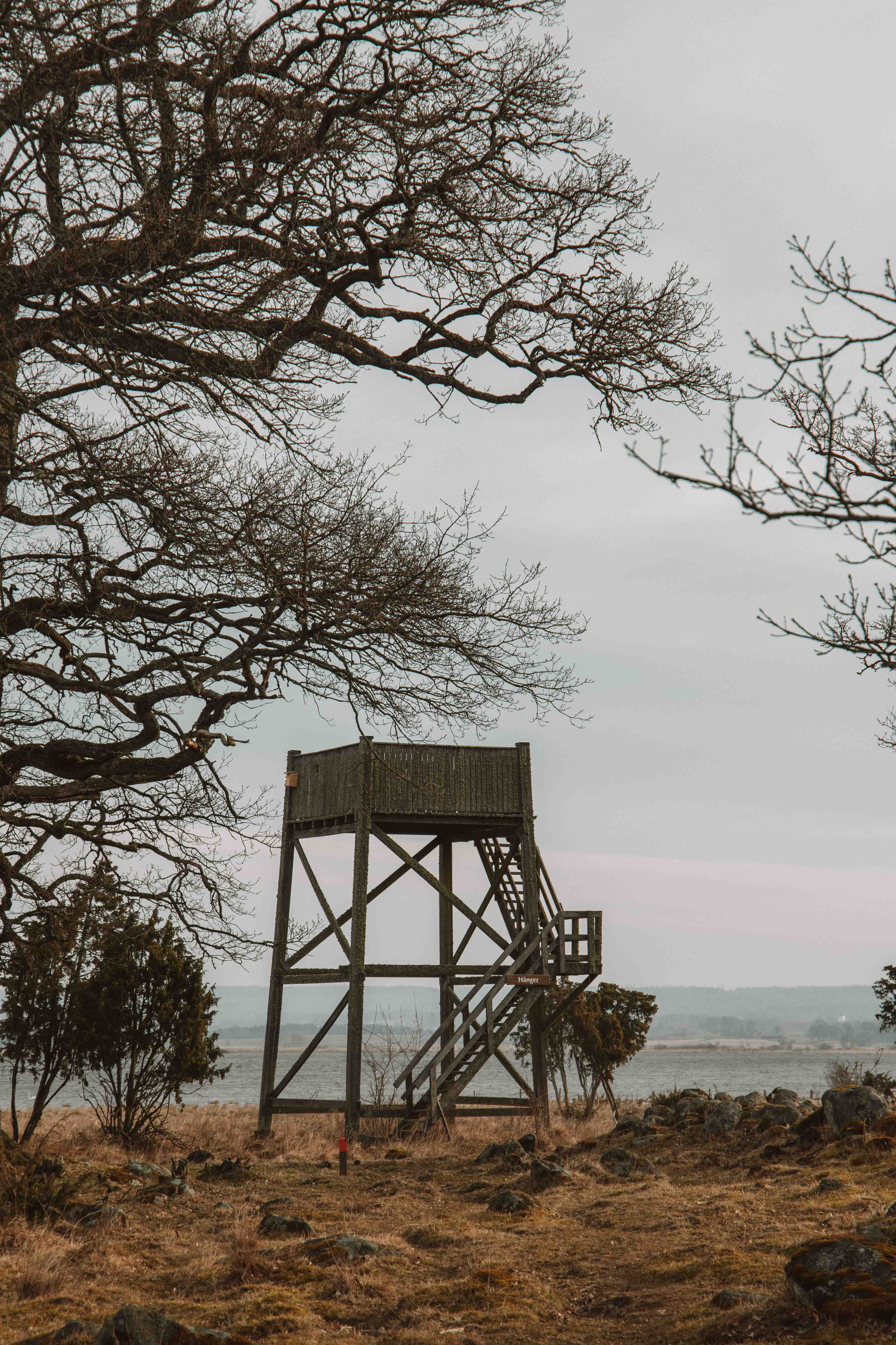 bird tower by hornborgasjön