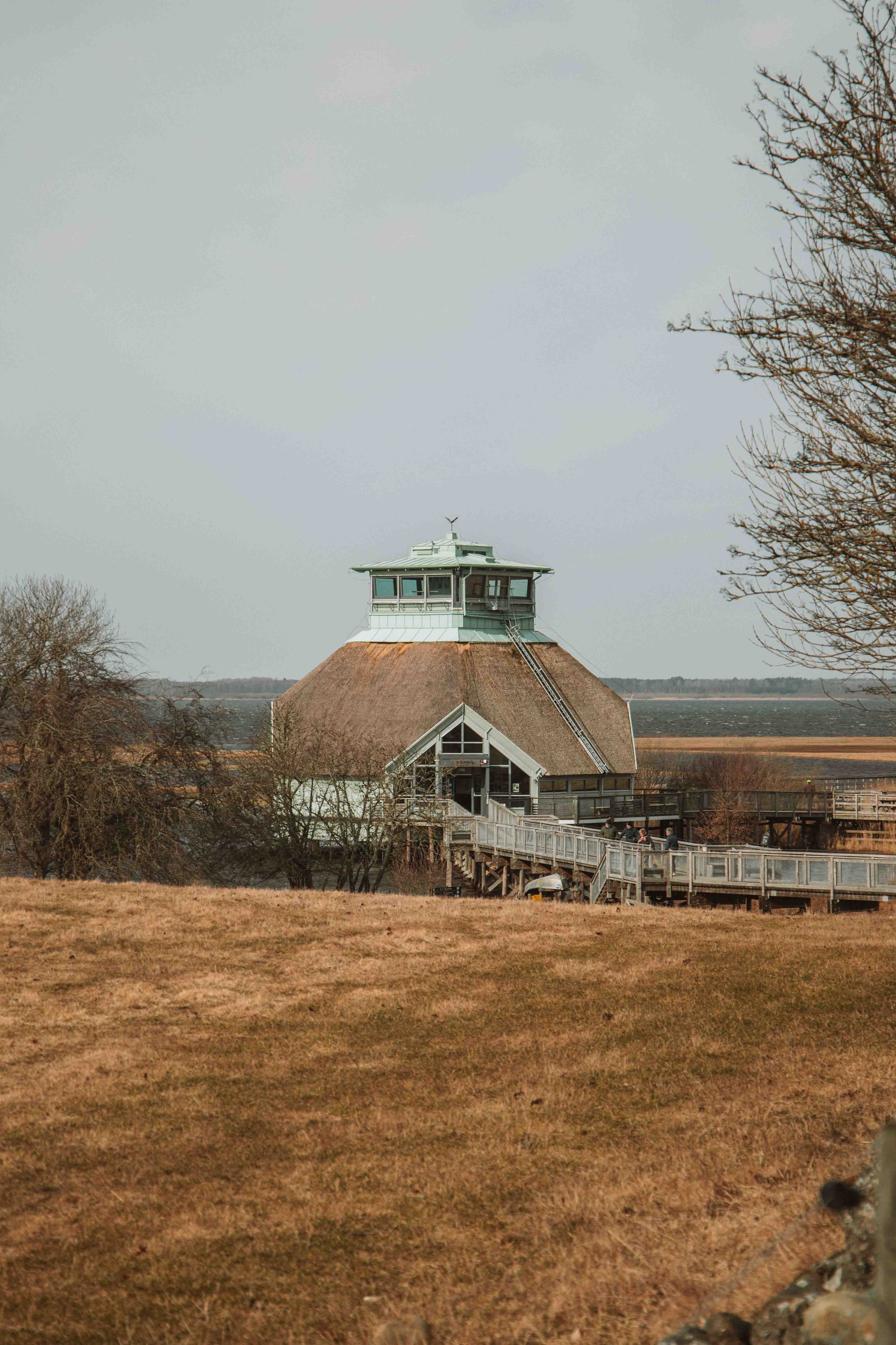 naturrum hornborgasjön