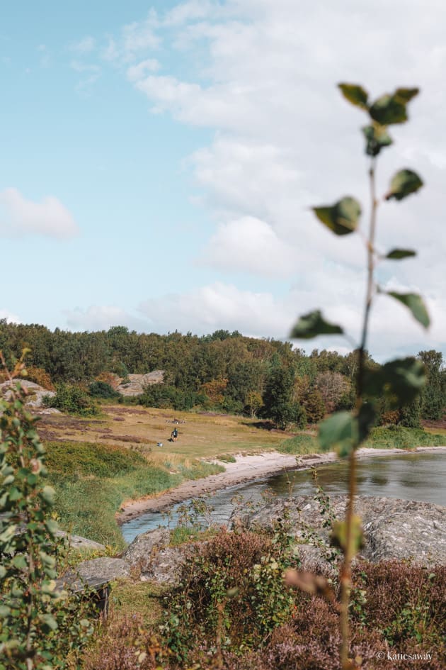 a sandy beach with grass park behind on vrångö island gothenburg archipelago