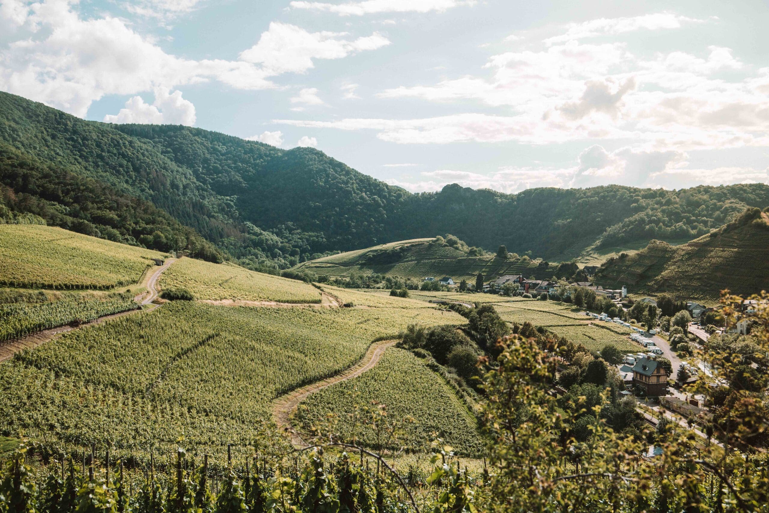 ahr valley view from ahrsteig