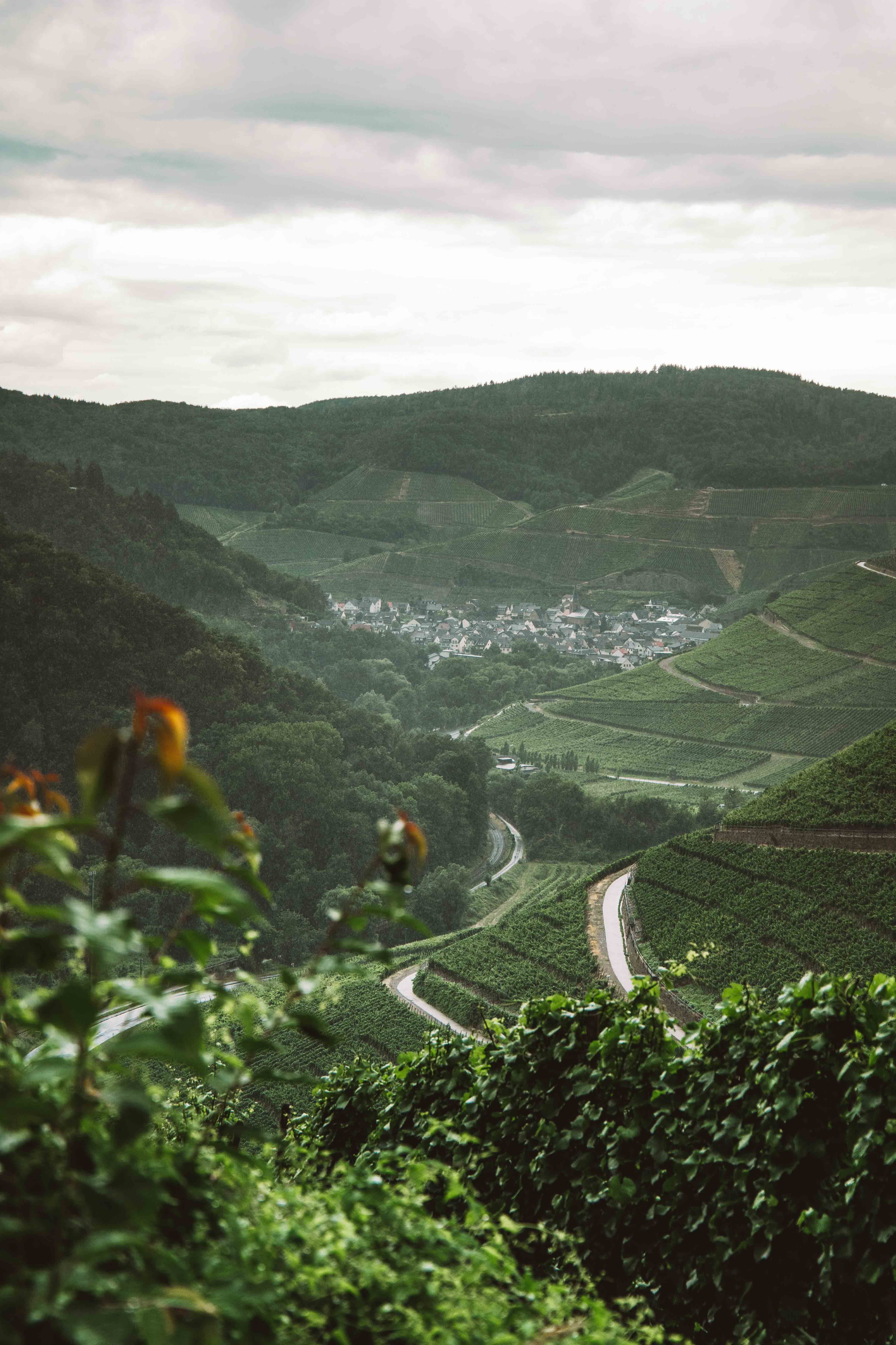 red wine hiking trail ahr valley