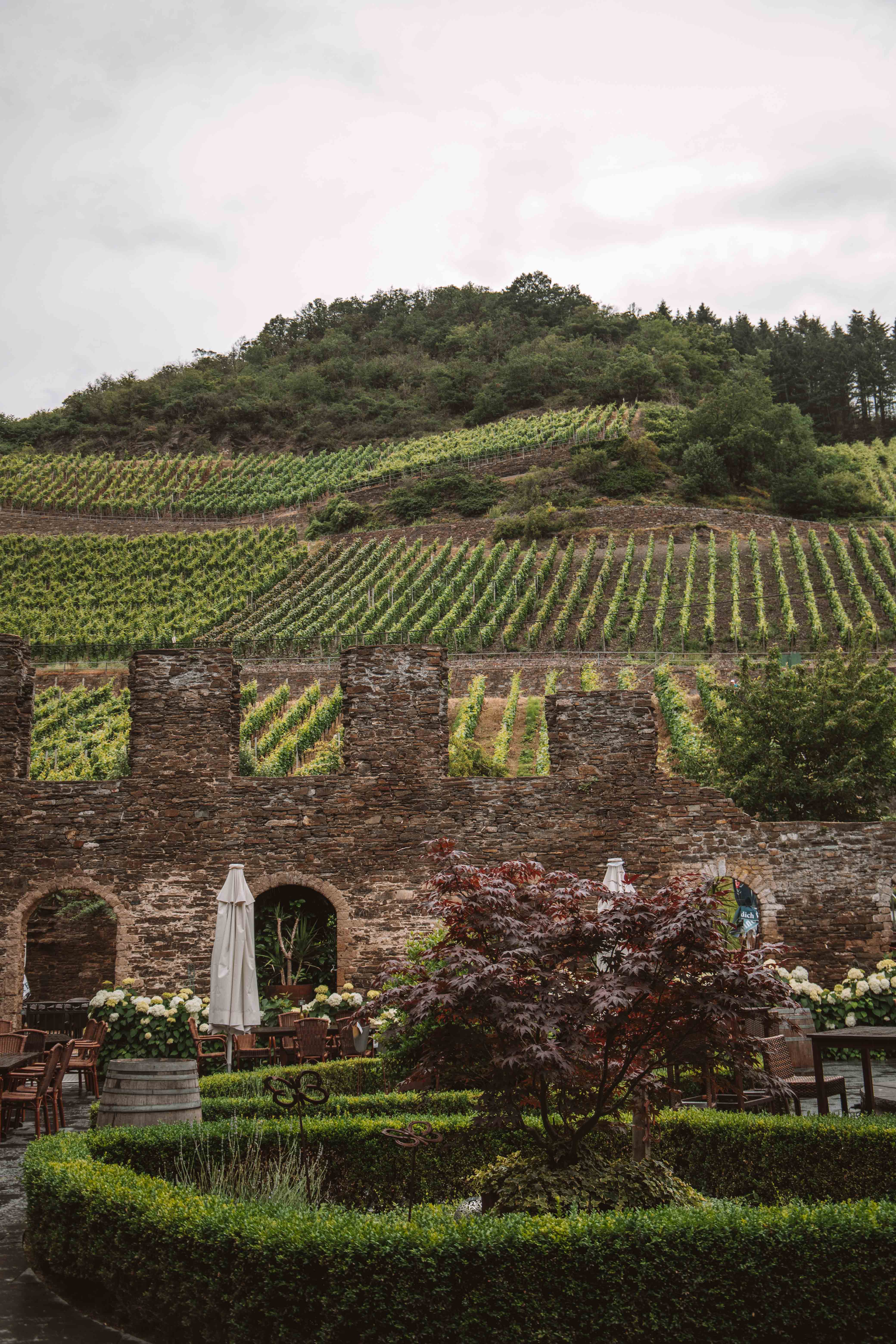 ahr valley winery in a kloster