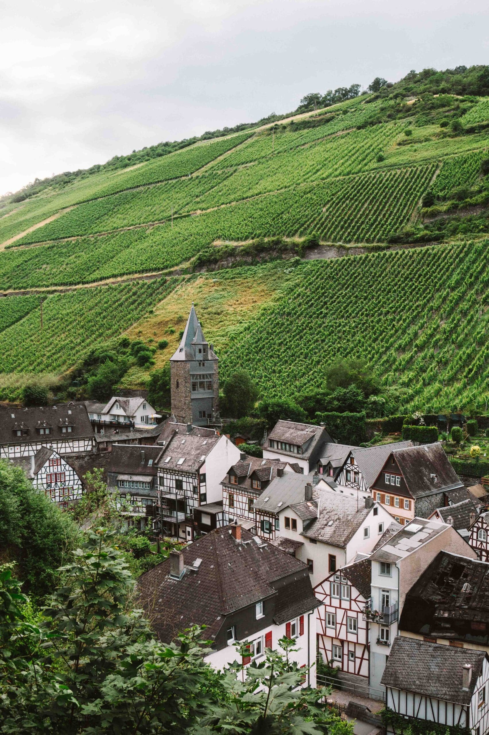 view from burg stahleck, bacharach