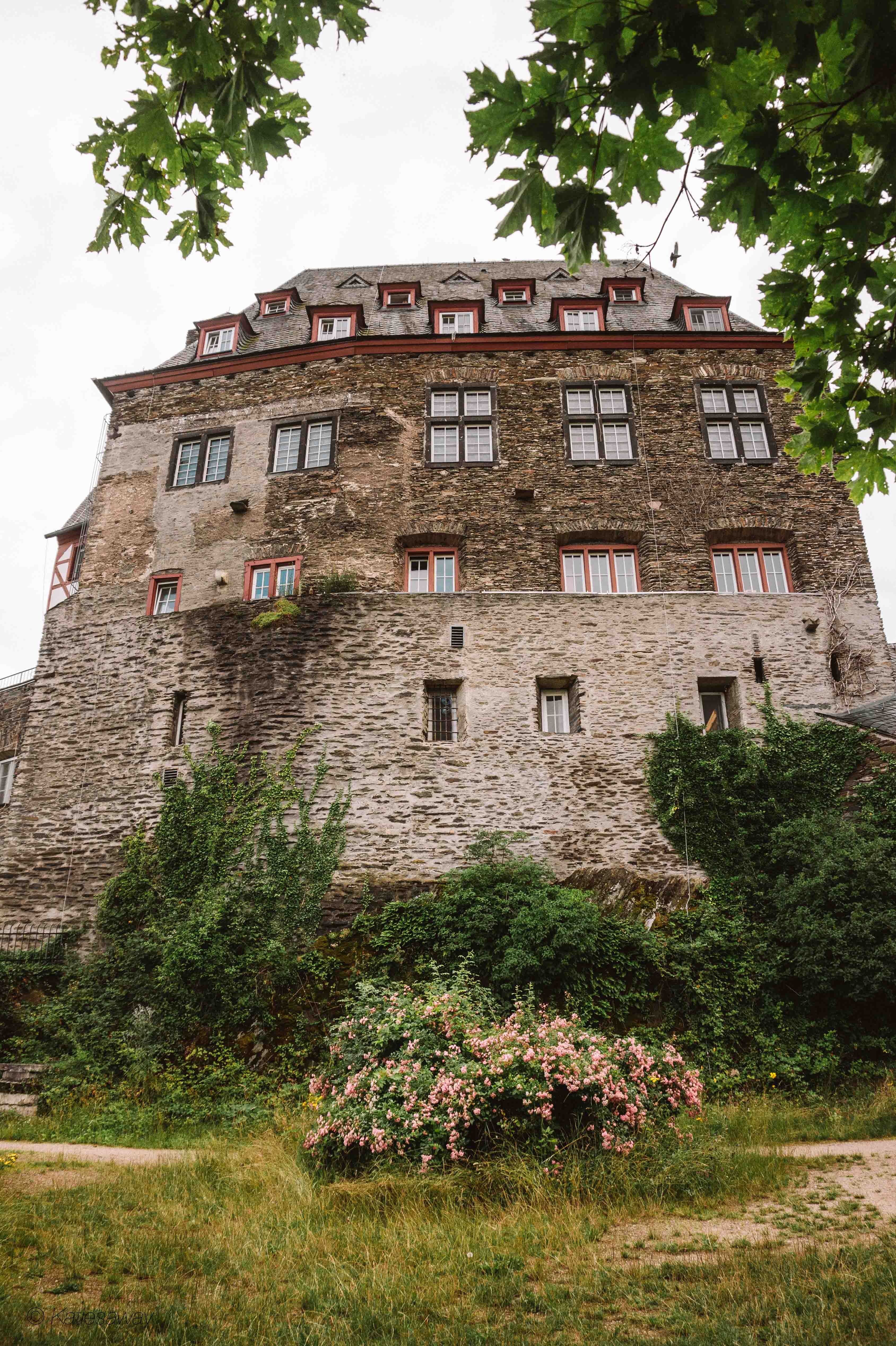 Burg Stahleck from below - bacharach