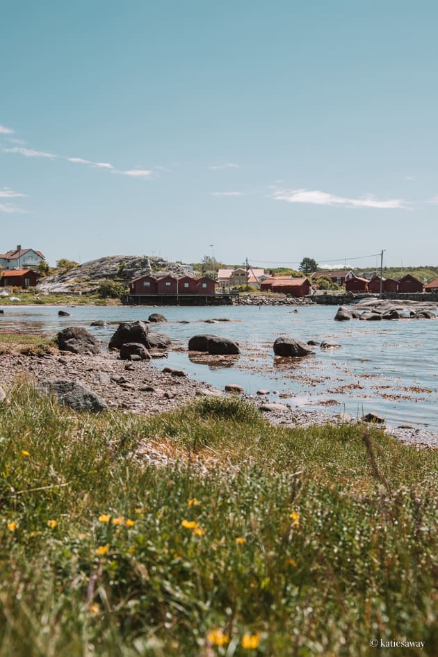 styrsö harbour with plants