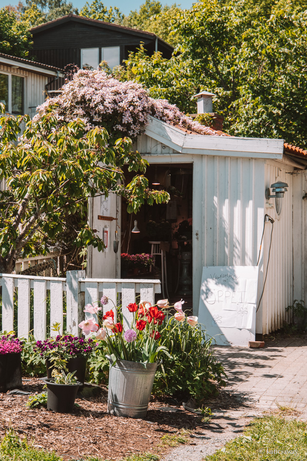 small flower shop on styrsö island gothenburg