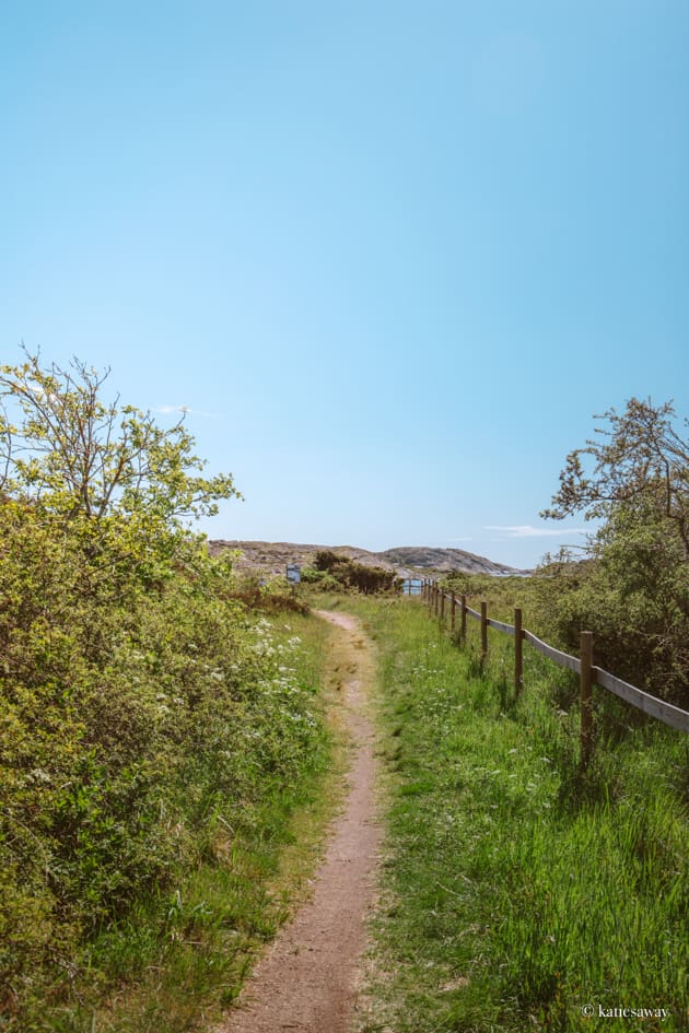 styrsö hiking path grass meadow