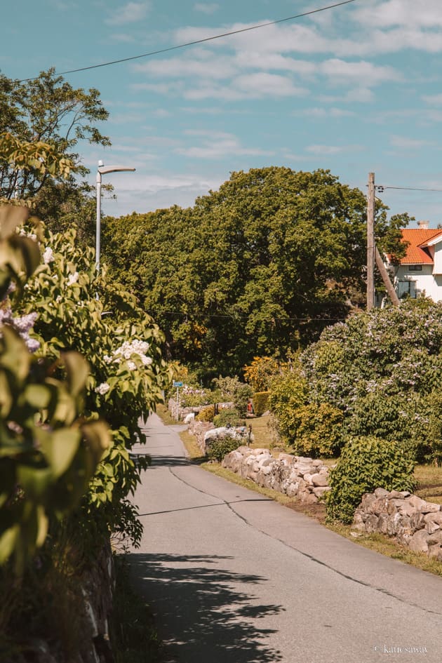 small road on styrsö island