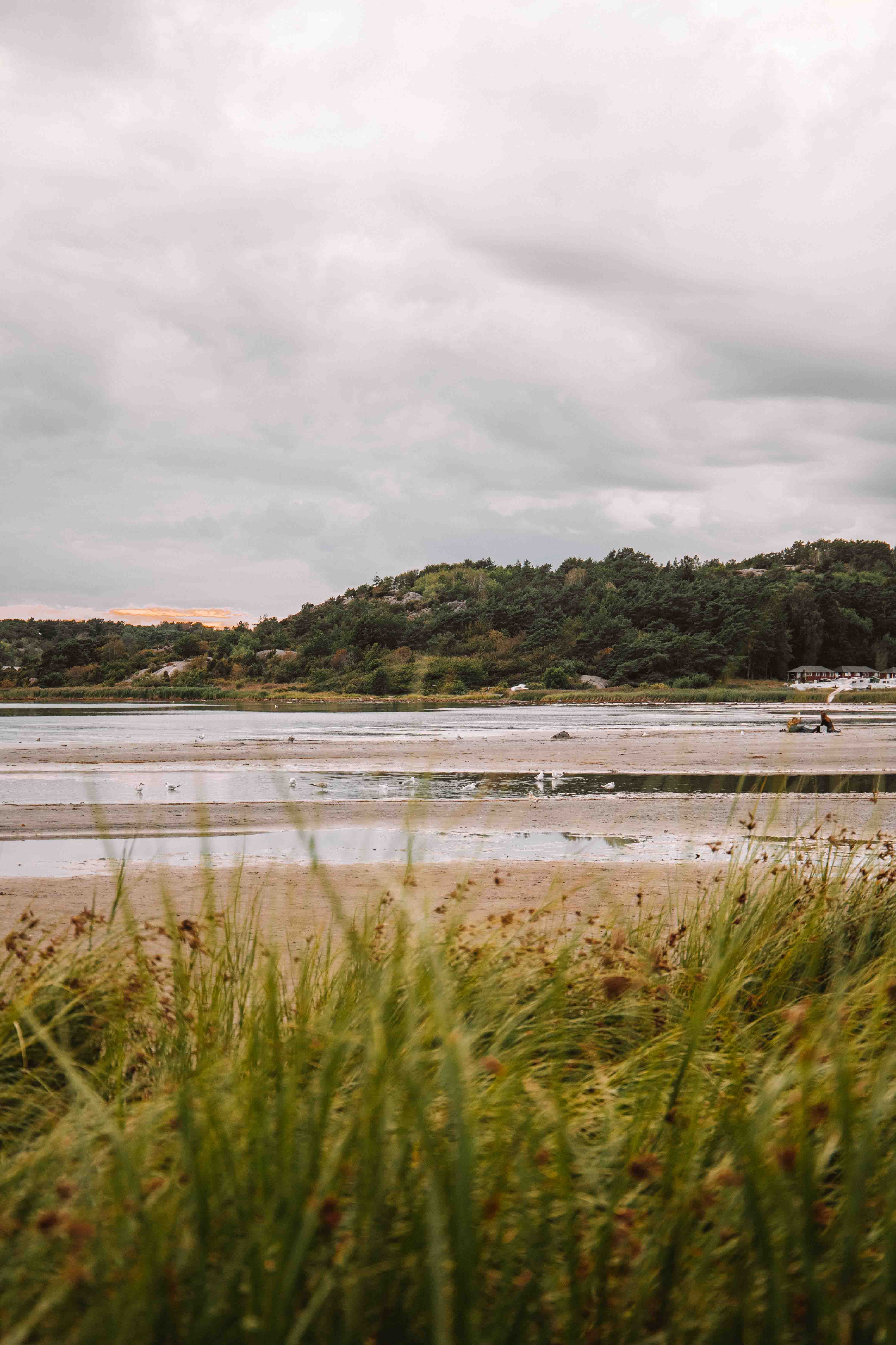 askimsbadet gothenburg beach