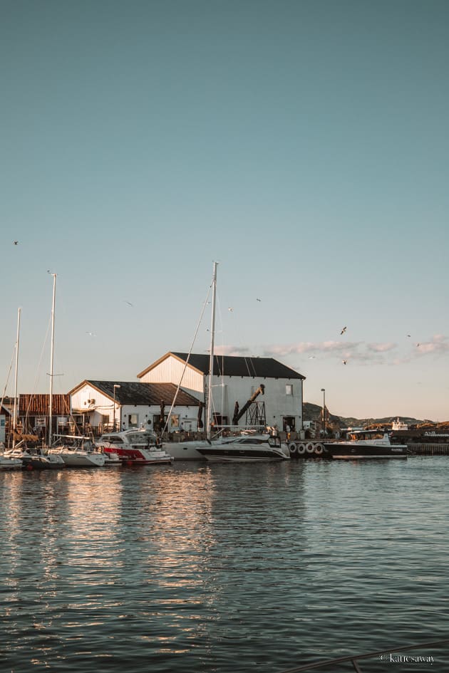 åstols rökeri åstol guest harbour