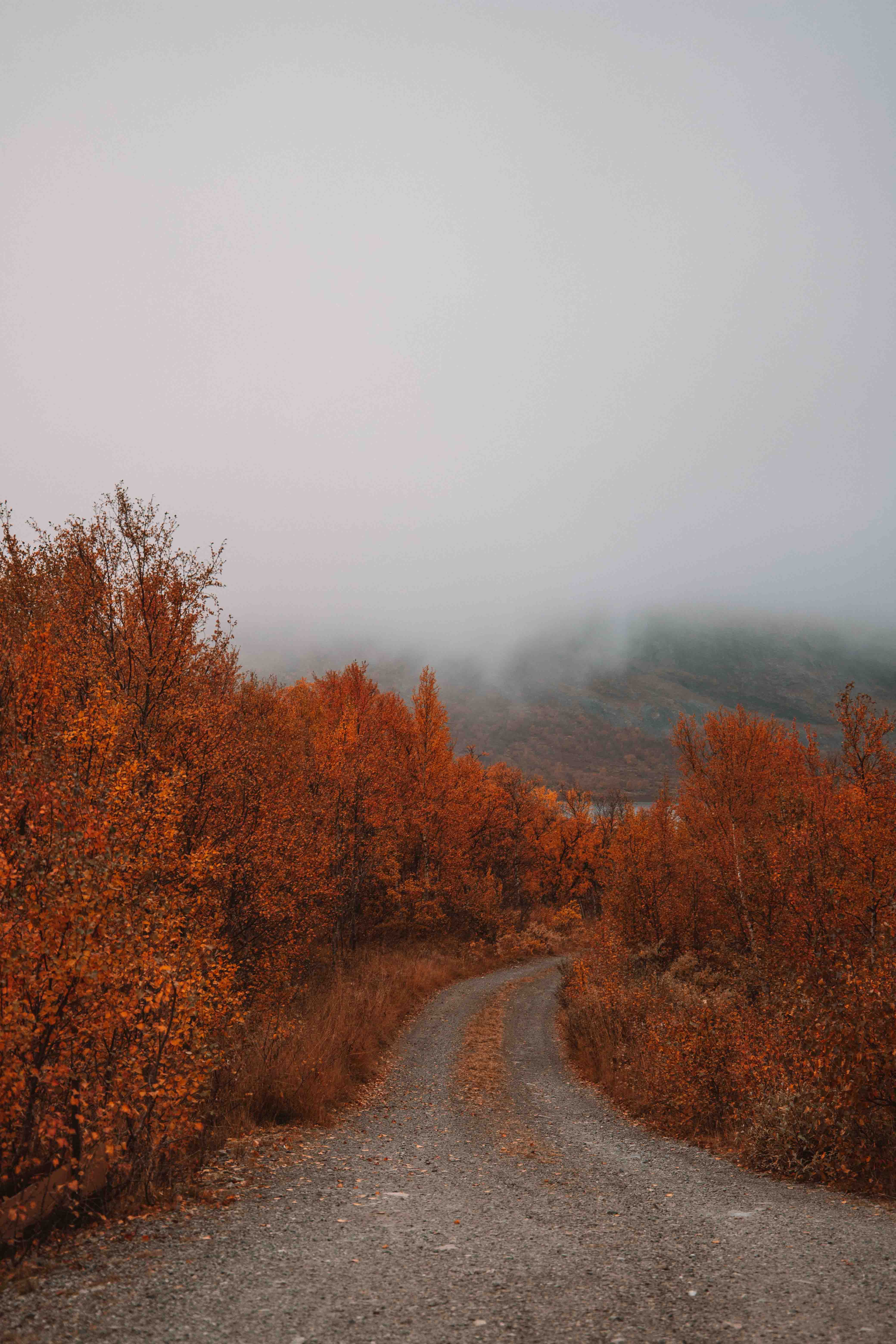 autumn road in norway