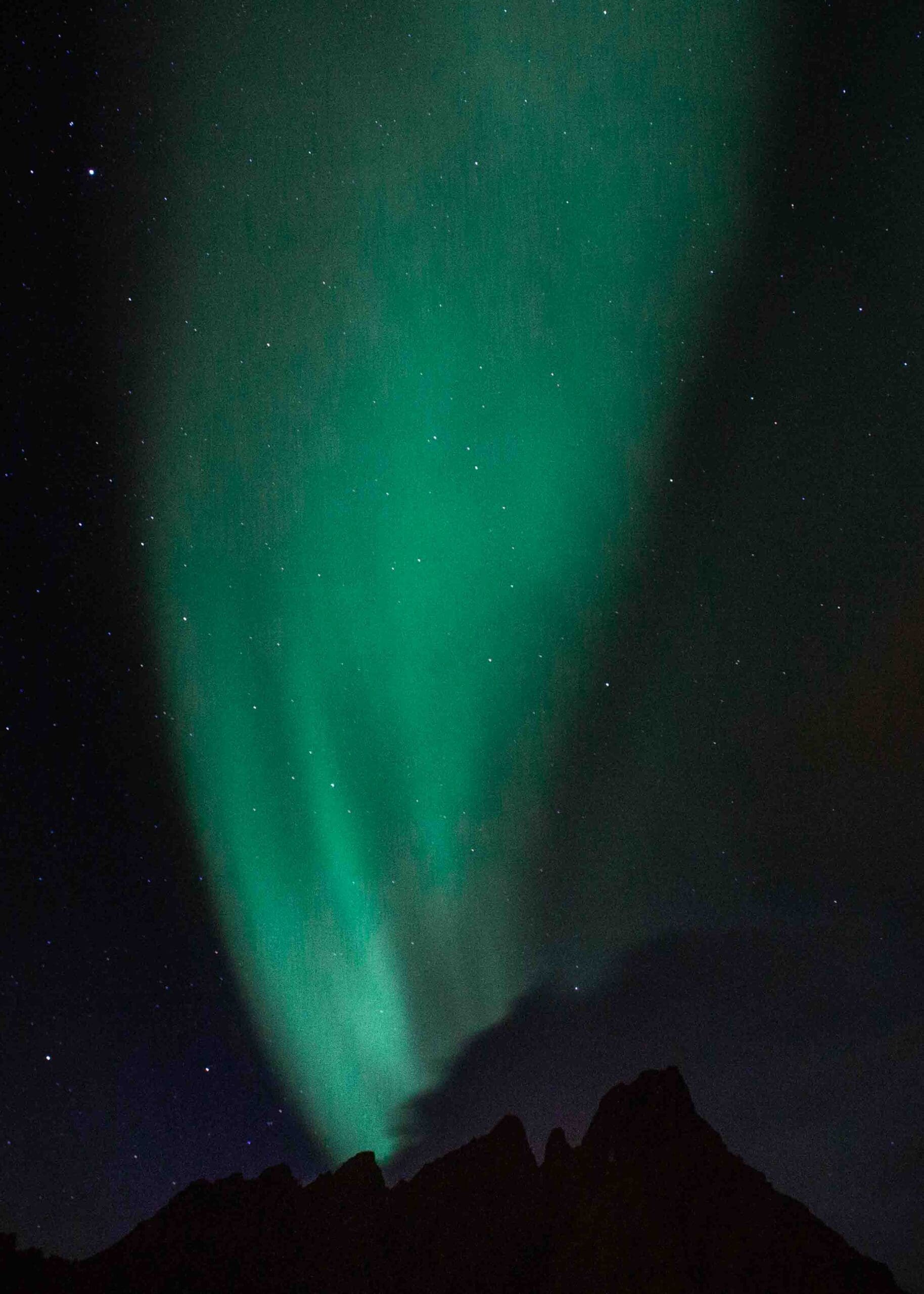 northern lights during november lofoten islands