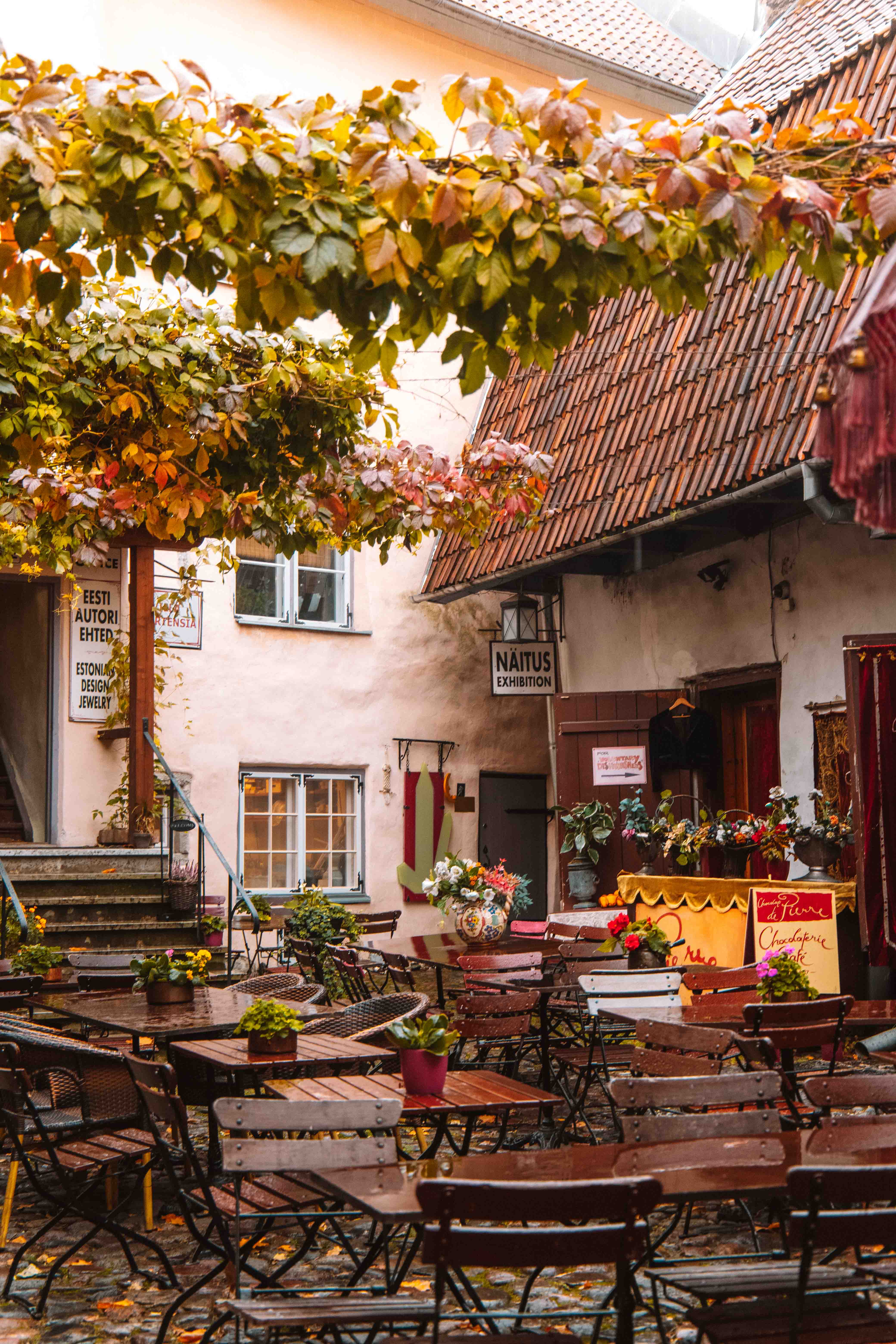 Master's courtyard tallinn old town chocolate cafe