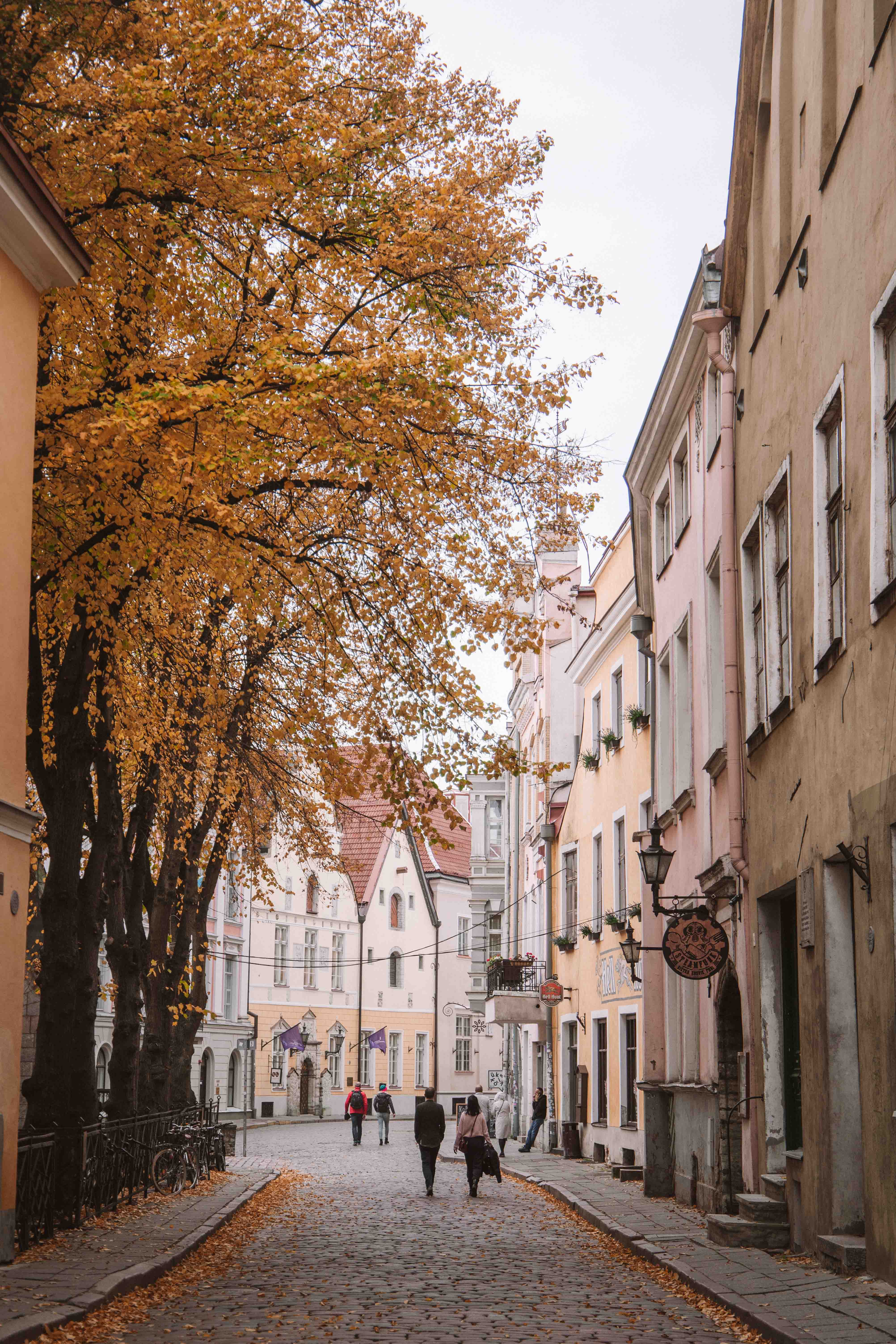 Pikk street in Tallinn's old town