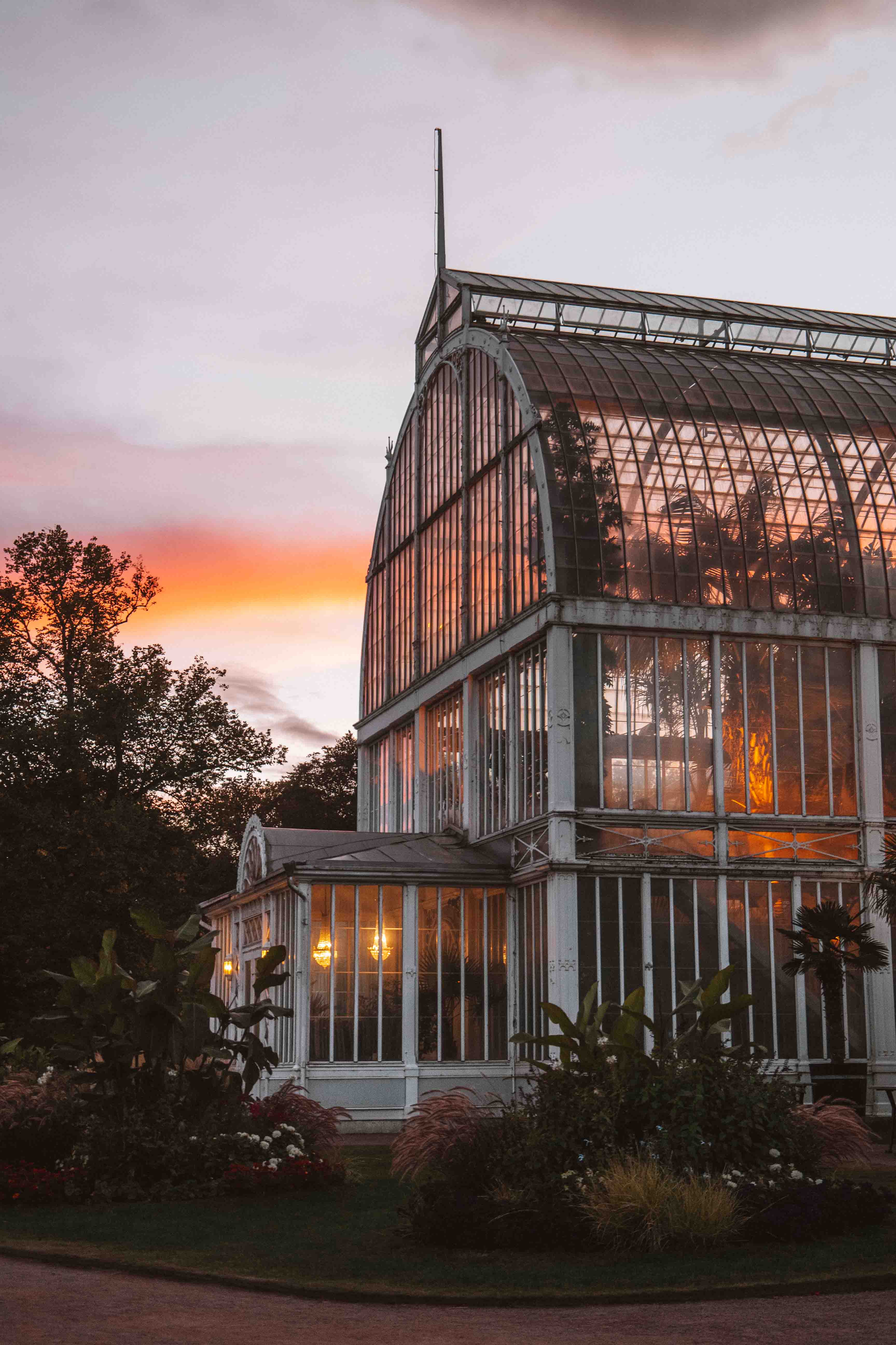 palmhuset at sunset