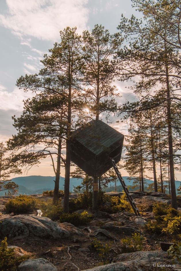 the tree cube treehouse and wind shelter handing from a tree in a green forest at sunset