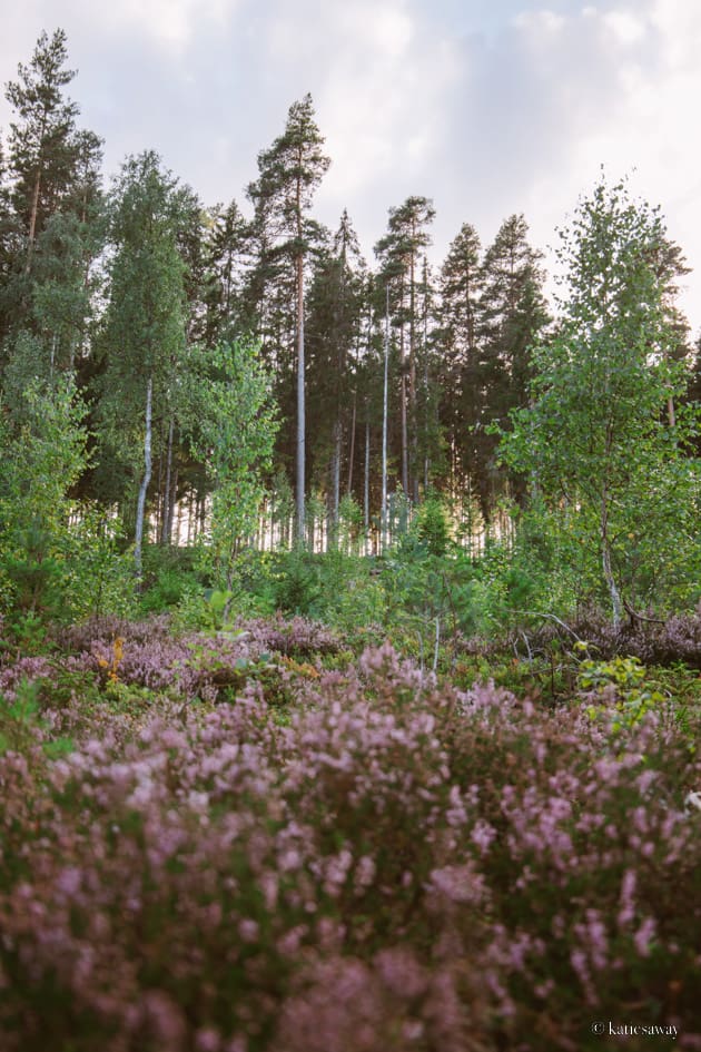 canoe trip sweden