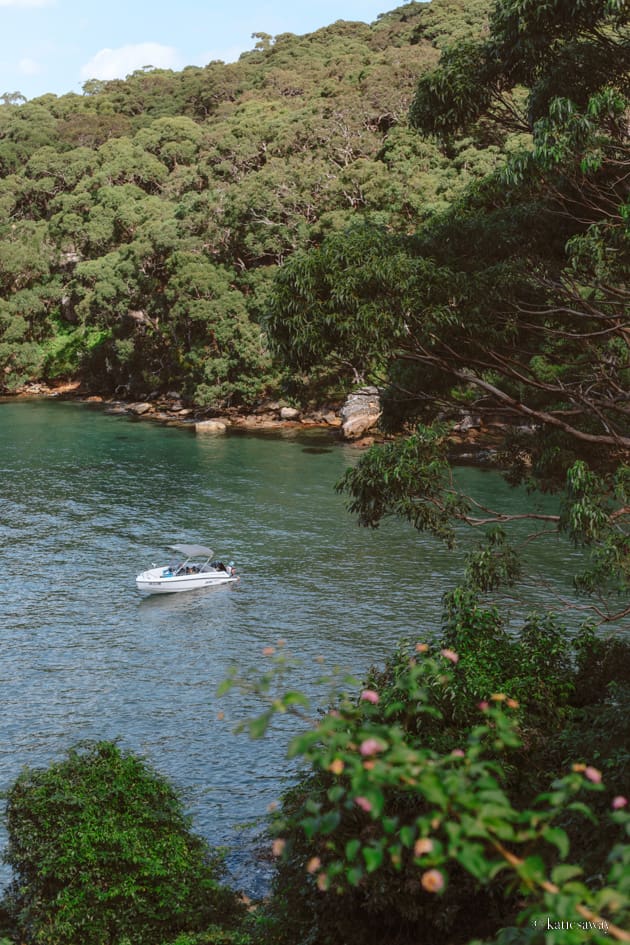 view from bradleys head walk over the sydney harbour