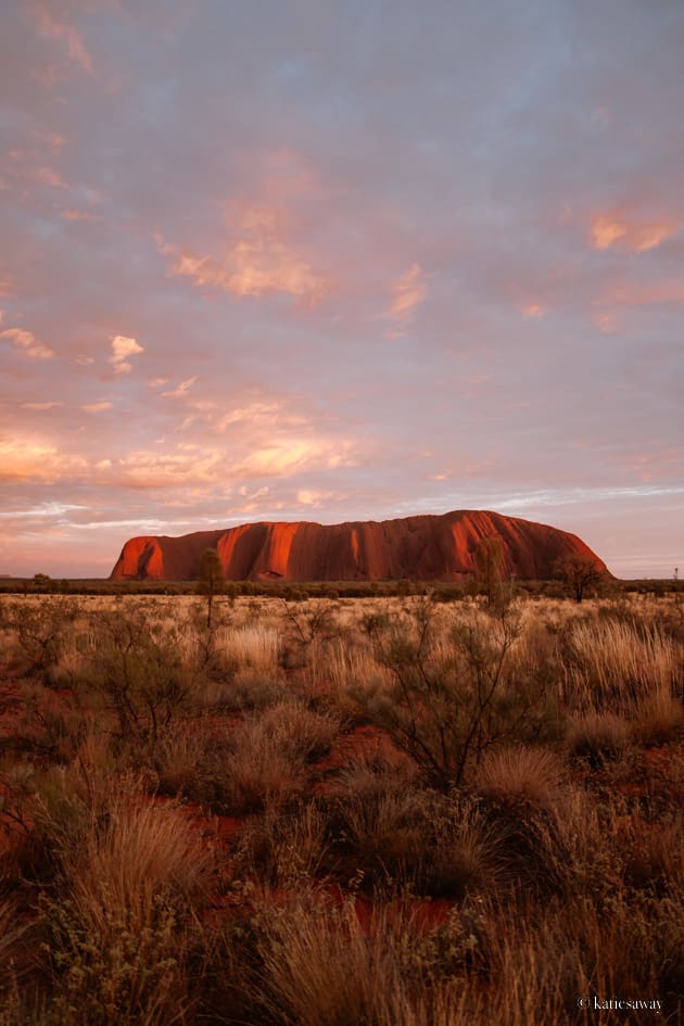 Uluru at sunset from the uluru sunset vieweing point.